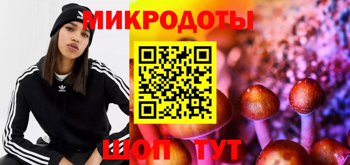 Рославль  Псилоцибиновые грибы MAGIC MUSHROOMS  Вход с VPN  Псилоцибиновые грибы мицелий 
